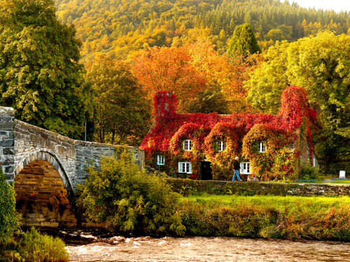 rixwilson:Autumn in Wales