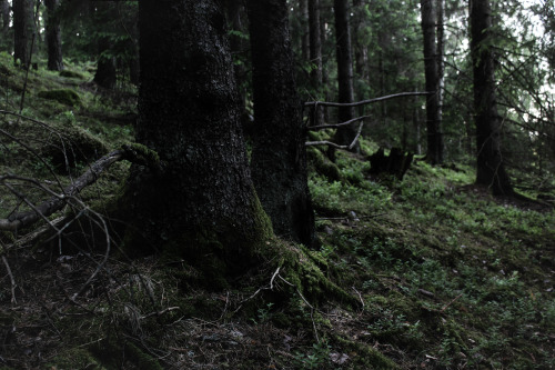 heathenharnow: Där långa skuggor ruva, Part III VI© Heathen Harnow -&