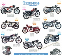 doyoulikevintage:  Triumph Motorcycle 