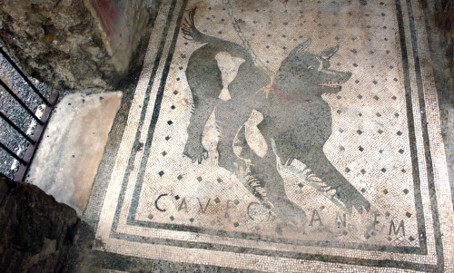 One of the oldest “Beware of the Dog” signs in the world. Domus del Poeta Tragico, Pompeii