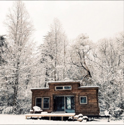 mace-onymous:  hellotinyhome:Winter is here,