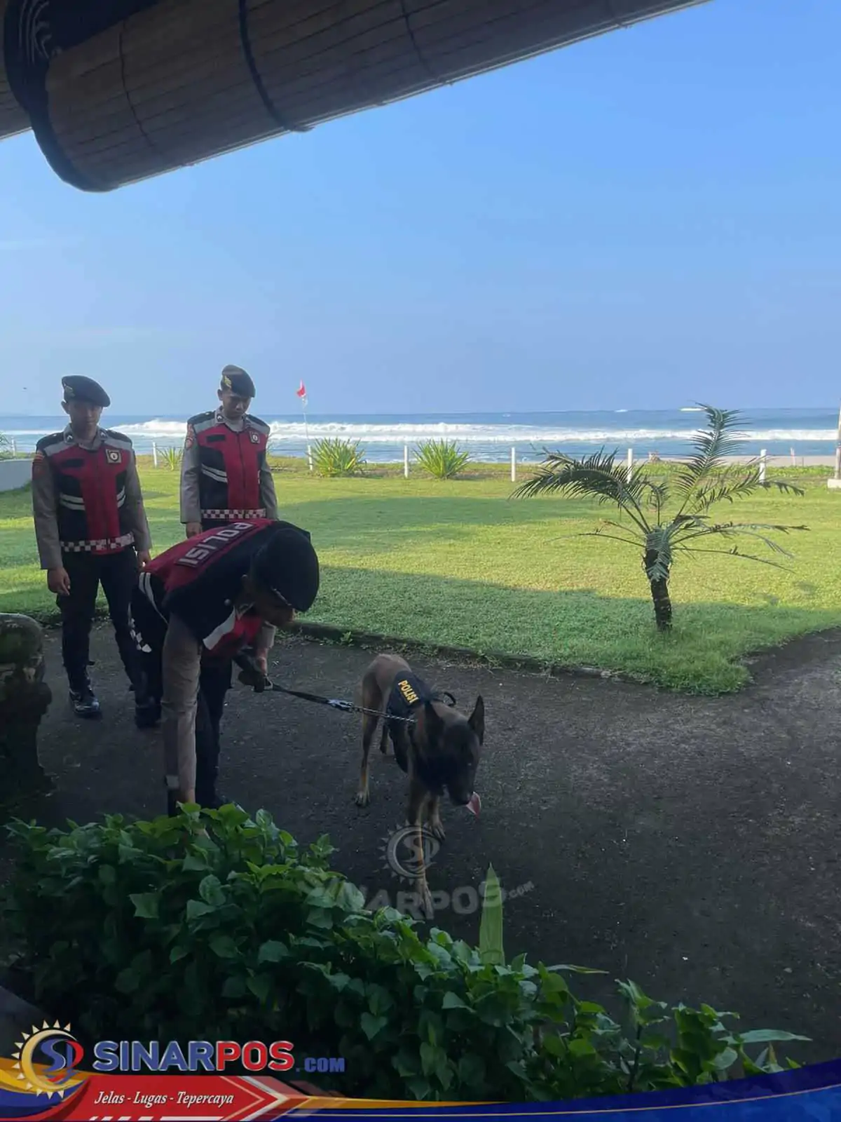 Tim K9 Polda Lampung Dan Sat Samapta Polres Pesisir Barat Melakukan Sterilisasi Lokasi WSL Krui Pro QS 6000
