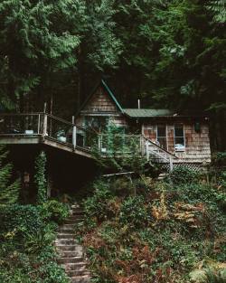 xshaydx:  The cabin life is the life for me 🏡 #cabinporn