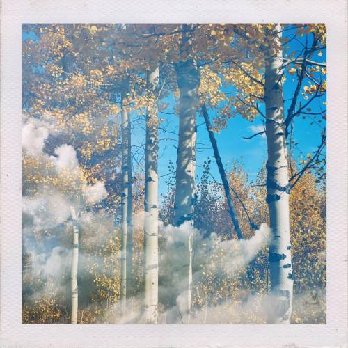 Ready for fall! Clouds over the aspens #doubleexposure #fineartphotography #film #shawnaankenbrandt