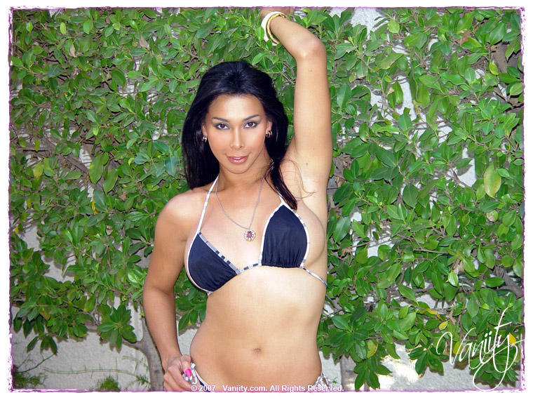 ladyboys21:  more hot tranny here!