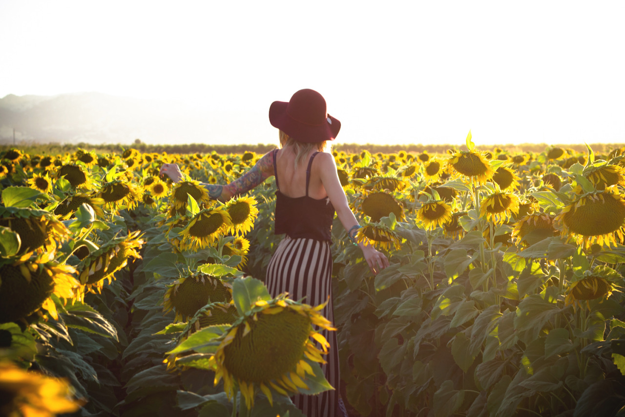 I always dreamed about shooting in a sunflower field. photo by noisenest, model Theresa