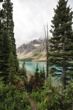visitheworld:       Bow Lake,  Banff National
