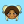 tartii:   caramelpandas:     IGN confirmed for Team Magma. 