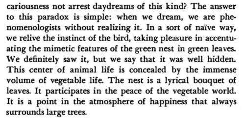 englishgradinrepair:Gaston Bachelard, The Poetics of Space (“Nests”)