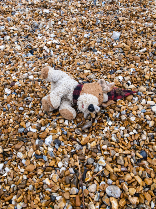 Beachcomber - weekly round up of my daily walks along the beach and findsX100