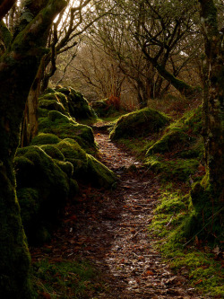 bonitavista:  Argyll, Scotland photo via