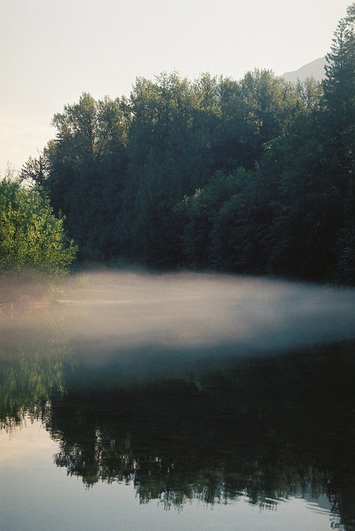 adam2adamtn:  Let’s go for an early morning walk down by the lake and see where it leads….   //  // ]]>