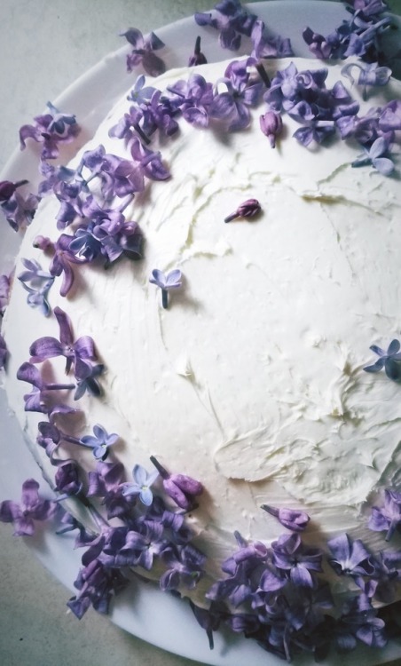 sweetferns:Lilac cake