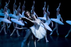 prosthetic-dance:  Evgenia Obraztsova and Semyon Chudin, Swan Lake