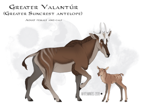 Timeless Bestiary: Greater Valantúr (Greater Suncrest Antelope)PronunciationGreater valantúr (or gre