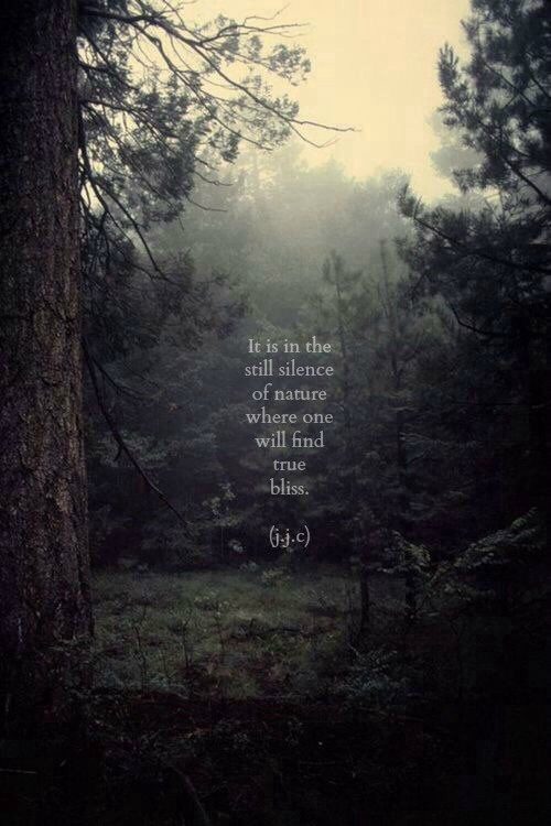 dannnijay:  » » 🍀 Adventure, peace &amp; positivity blog 🍀 (Please don’t