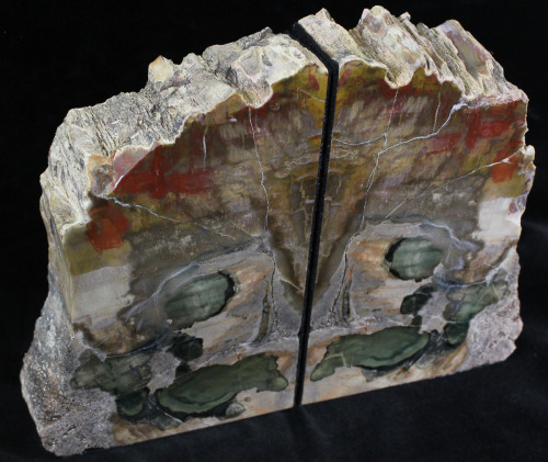 This is a pair of bookends made from richly colored, 220 million year old petrified wood (Araucaria)