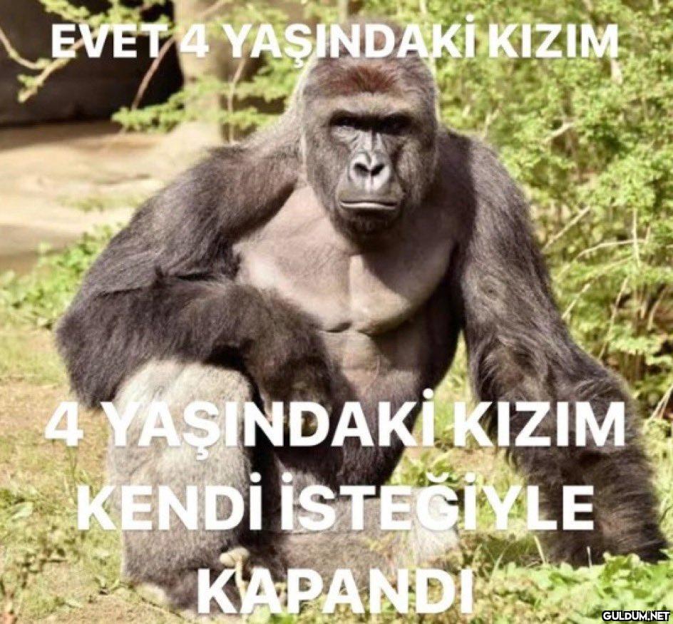 EVET 4 YASINDAKİ KIZIM 4...