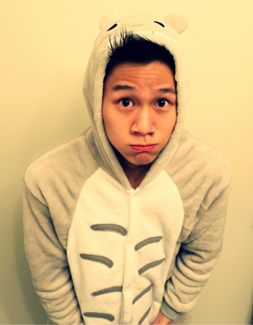 justrelaxandchill:Totoro onesie? 