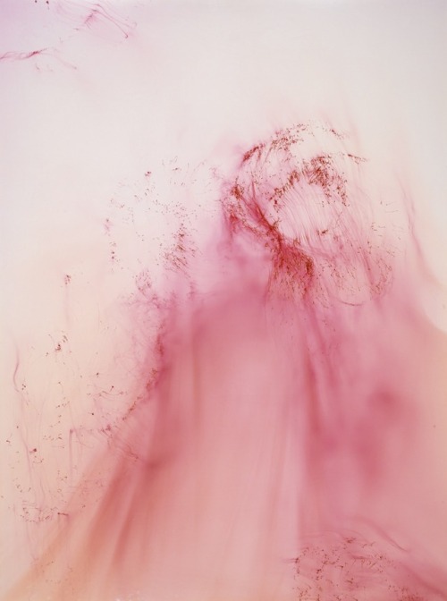 cavernedeplaton: Wolfgang TillmansUrgency VIII, 2006