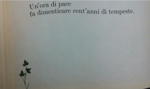 misseternalunsatisfied:  Oggi. 