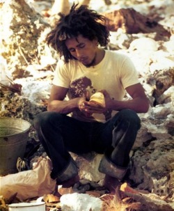nubianbrothaz:  Better Daze!  Bob Marley.One