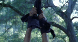 kidetic:     Natalie Avital  from the (bad) movie  Shallow Ground   Part 2 
