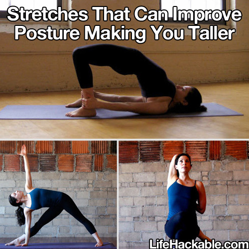 sneuflakes:  born-of-storms:  lostwoodscosplay:  lifehackable:  Stretches that improve different aspects of your body.  COOL BEANZ OuO  ‘lower pain pain’  Pain pain is the worst 