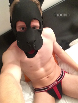 puphoodie:Two new jockstraps for the pup