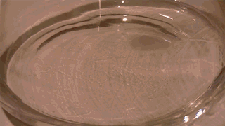 trendingly:  Click Here To See More Amazing Chemical Reaction Gifs Like This! 