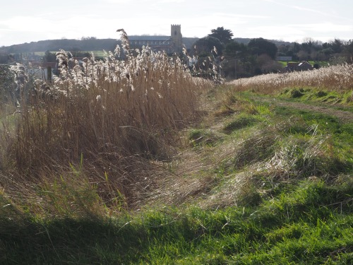 Salthouse, North NorfolkFebruary 2022