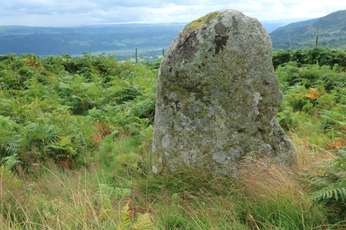 Caerhun Standing Stones, Conwy, North Wales. This is one of a pair of standing stones. The other is 