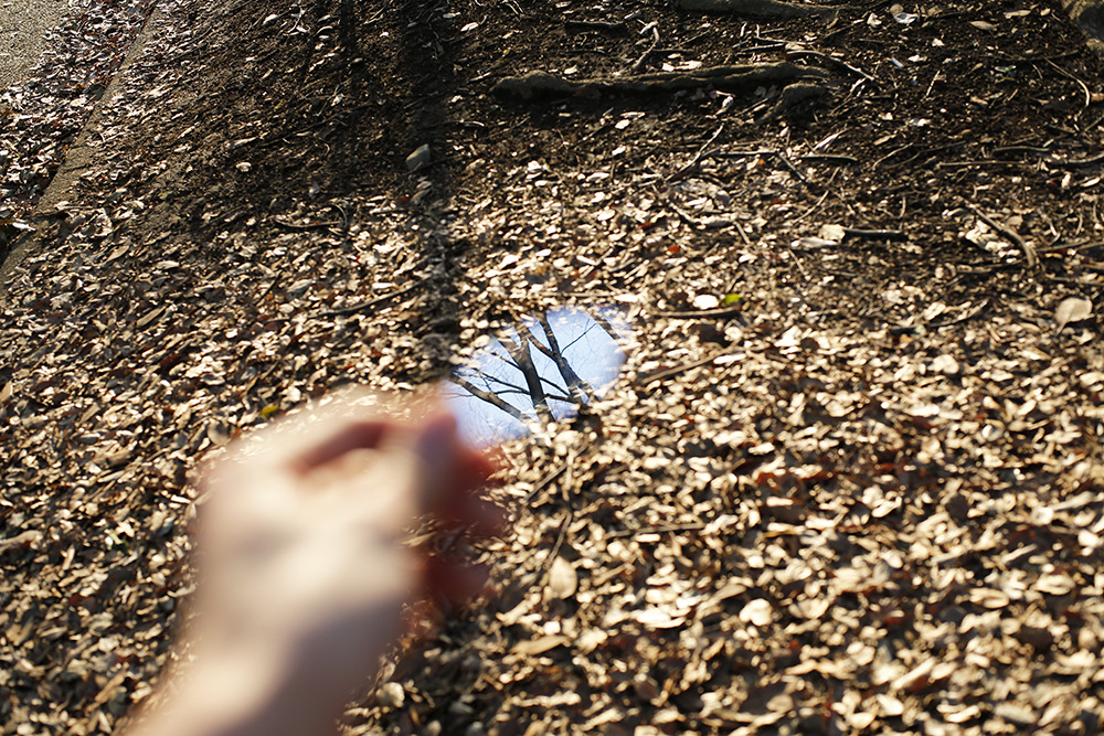 yoshinorimizutani:  mirror 