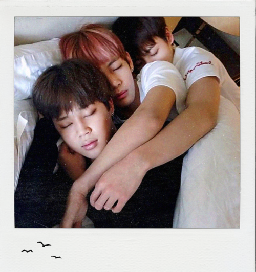 Stories Of Three Little Birdsfor @jkvjimin