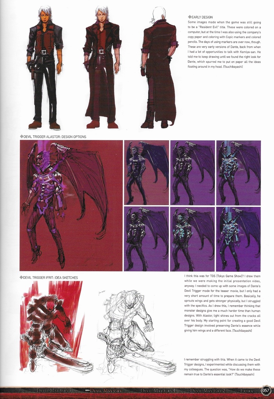 Versus Books Official Devil May Cry Perfect Guide: Loe, Casey:  9780970646880: : Books