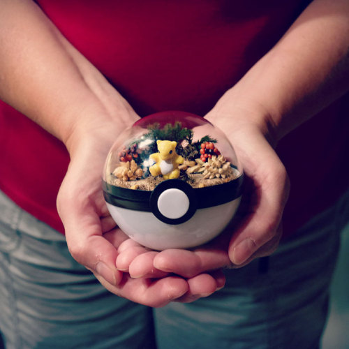 culturenlifestyle: Ingenious Pokéball Terrariums  Texas based artist Lauren from The Vintage Realm takes pride in being a 90s kid. Inspired by vintage Pokémon, which was one of her childhood passions, she created a collection of Poke terrarium. Plucking