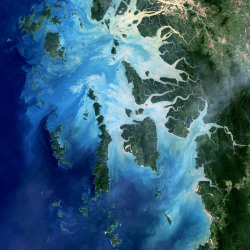 fuckyeahfluiddynamics:  Pale sediments are carried out to sea by the rivers of the Mergui Archipelago of Myanmar. Dark blue ocean waters mix with the sediment, creating turbulent swirls in this natural color satellite image. With the sediment comes valuab