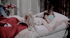 whouffle:  You know what’s wrong with you, Miss Whoever-You-Are? You’re chicken,