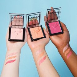 Wet n Wild - Color Icon Baked Blushes Cost $5Find Here