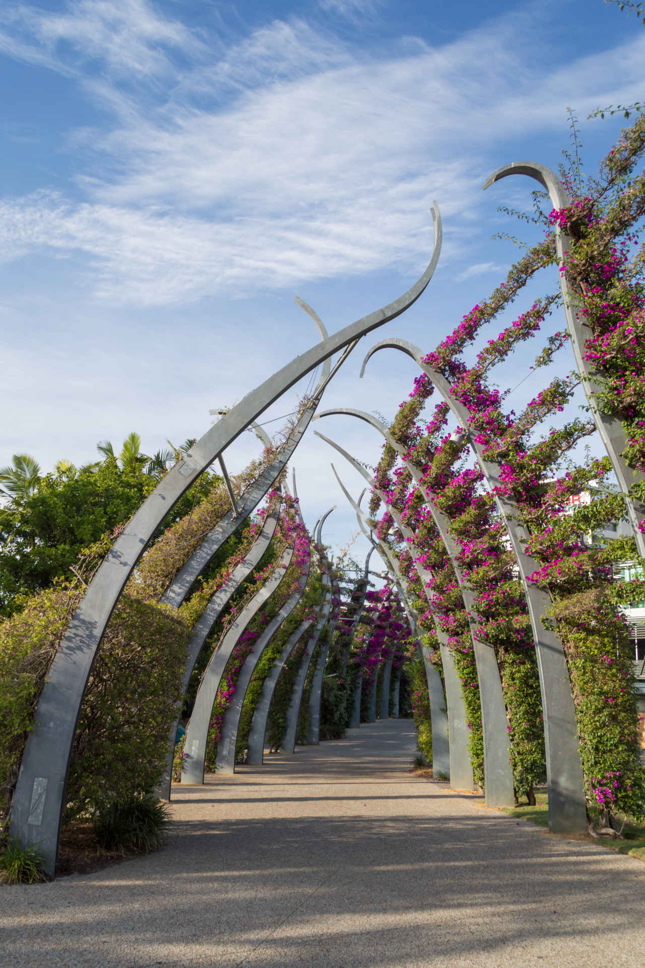 One of the beautiful arches of bougainvillea in Southbank.
Selected prints are available on SmugMug.
Instagram - Facebook - 500px - Google+