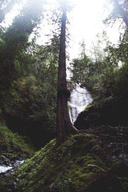 northwezt:  Murhut Falls | Washington ➤