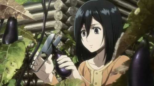 micasaas:little mikasa smiling is everything I can’t MY PRECIOUS BABY GIRL