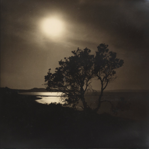 Images from the album which record Max Dupain’s camping trip at Culburra in January 1938State Librar