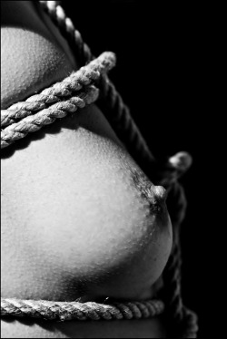 eroticwitch:  “Shibari Close-up” by Maurizio