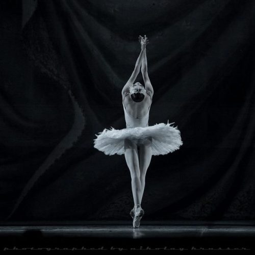 galina-ulanova:Yulia Makhalina as the Dying Swan (Mariinsky Ballet, 2014)