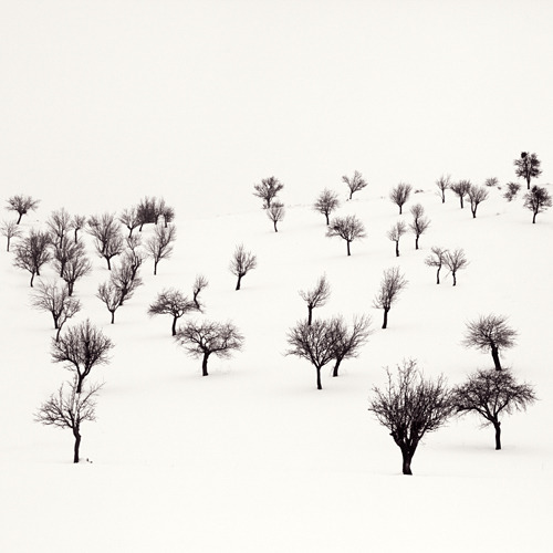 darksilenceinsuburbia:  Ebru Sibar: White Story