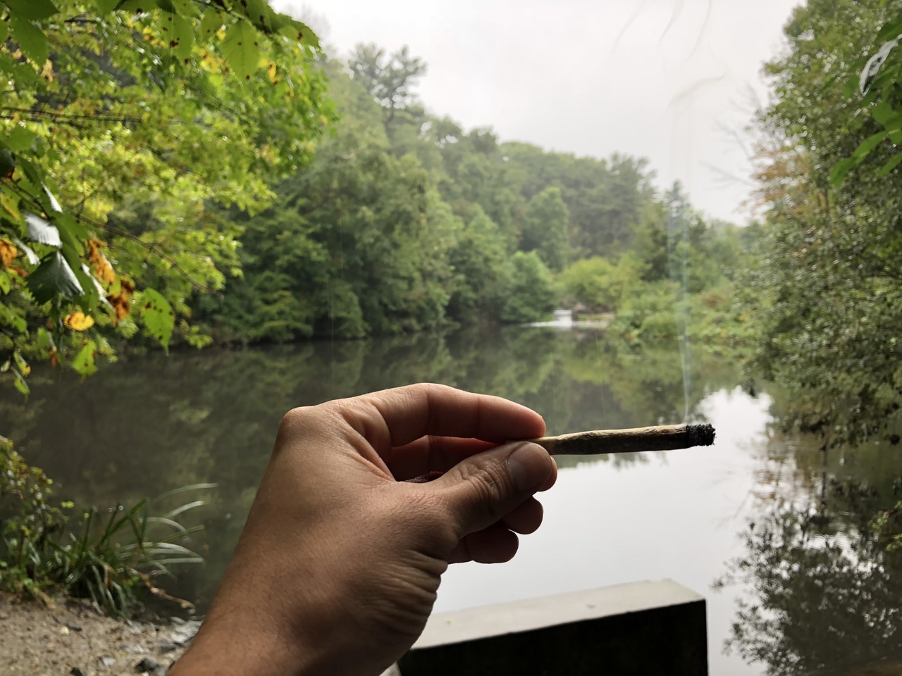 weednymphos:  weednymphos:  The 6 smoke views | weednymphos | new ig   Whos still