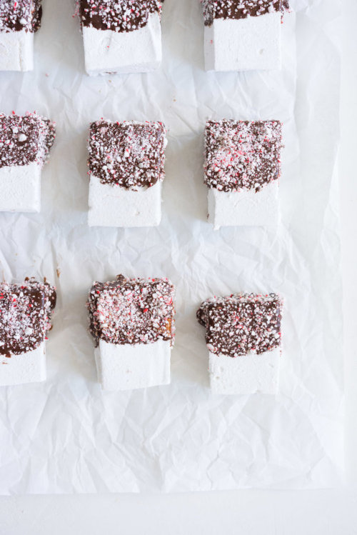 sweetoothgirl: peppermint s'mores with chocolate graham crackers