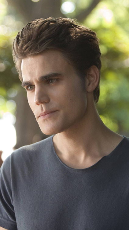 Stefan And Damon Explore Tumblr Posts And Blogs Tumgir