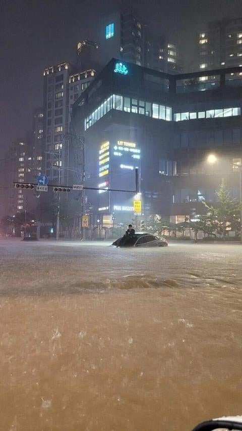 Seoul Last Night.